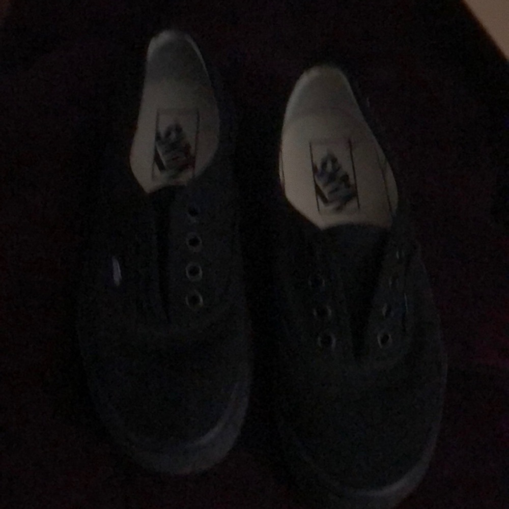 Vans canvas blk sneakers